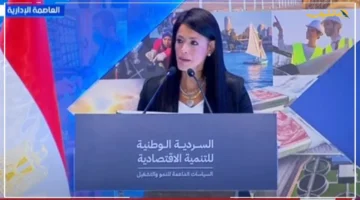 مسار جديد للتنمية.. المشاط تكشف عن السردية الوطنية لإطار يدمج برنامج الحكومة ورؤية مصر 2030 1
